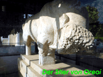 Oreoi_Stier_01_12