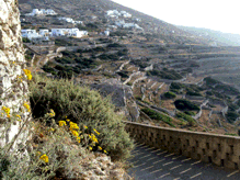 Pholegandros
