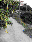 Poros_Kefalonia_01