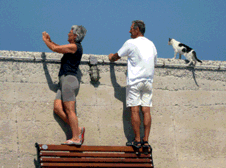 Skopelos_Katze